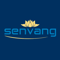 SENVANG IT Solutions Co. Ltd. Logo